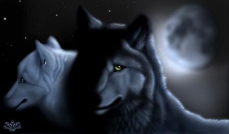 Loup